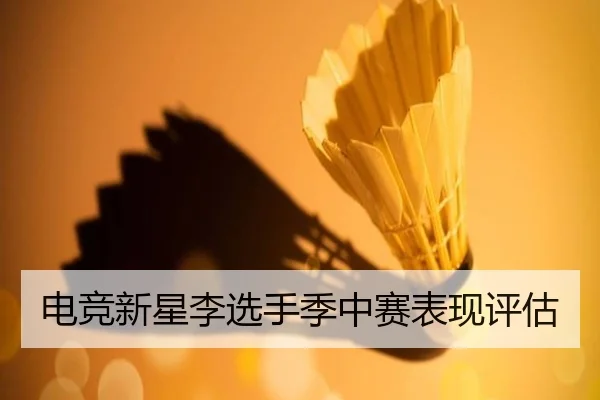 电竞新星李选手季中赛表现评估